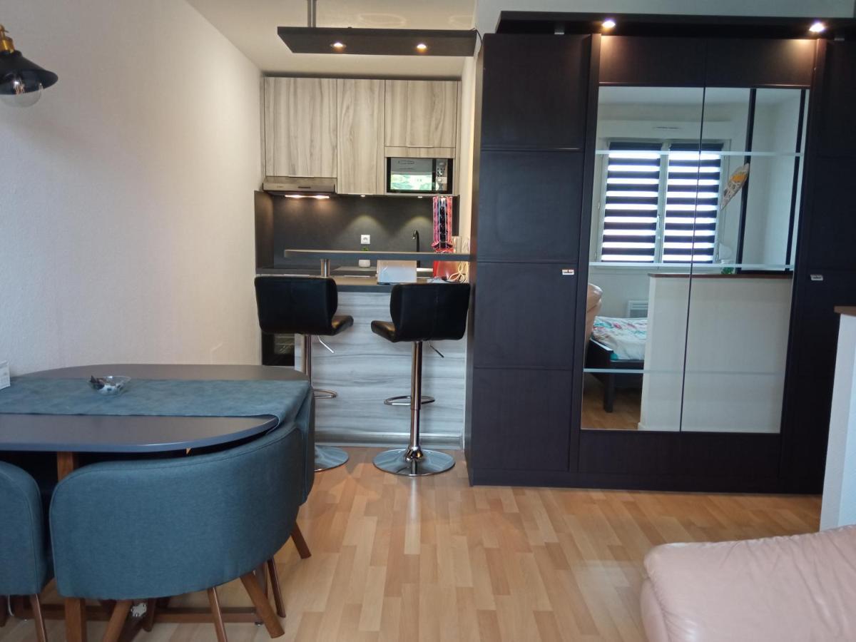 Charmant Studio Classe 3 Etoiles Au Coeur De Niederbronn-Les-Bains Ngoại thất bức ảnh