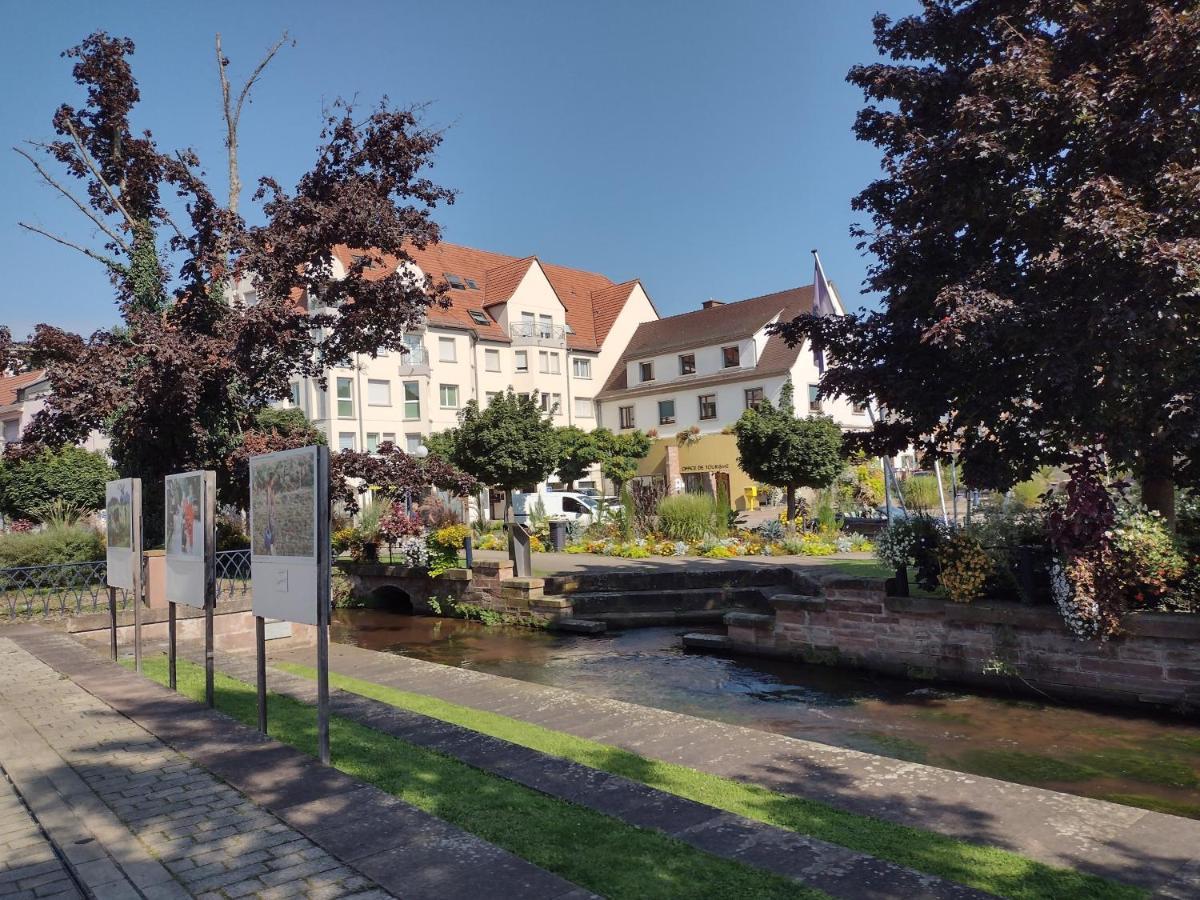 Charmant Studio Classe 3 Etoiles Au Coeur De Niederbronn-Les-Bains Ngoại thất bức ảnh