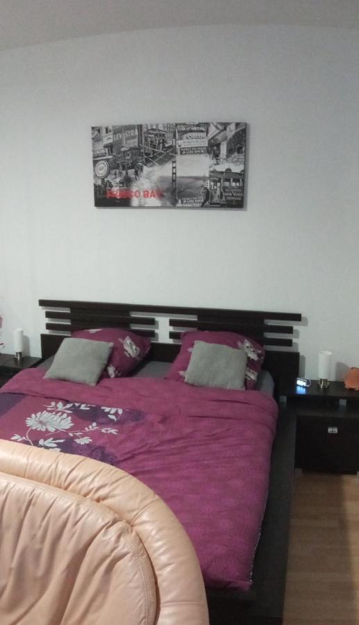 Charmant Studio Classe 3 Etoiles Au Coeur De Niederbronn-Les-Bains Ngoại thất bức ảnh